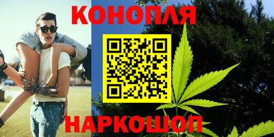 сатива Коммунар