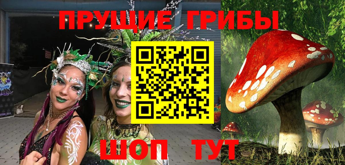 Псилоцибиновые грибы Cubensis Корсаков