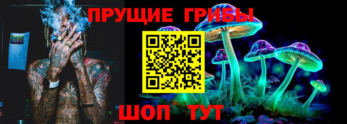 Корсаков  сколько стоит  Галлюциногенные грибы ЛСД  Вход с VPN  Псилоцибиновые грибы мухоморы 
